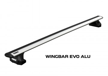 Wingbar evo alu  fix 1